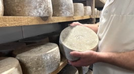 tome-brebis-aop-ossau-iraty-ferme-bethanoun-labastide-clairence