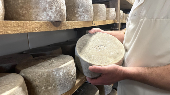 tome-brebis-aop-ossau-iraty-ferme-bethanoun-labastide-clairence