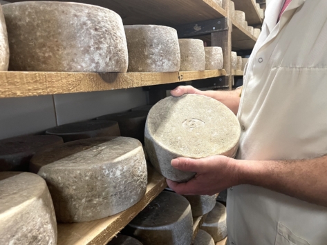 tome-brebis-aop-ossau-iraty-ferme-bethanoun-labastide-clairence