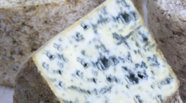 bleu-bethia-fromage-basque-ferme-bethanoun