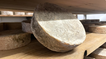 esperantza-fromage-basque-ferme-bethanoun-64-mabastide-clairence