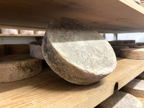 esperantza-fromage-basque-ferme-bethanoun-64-mabastide-clairence