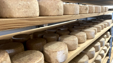 fromage-ferme-bethanoun-tomette-ossau-iraty