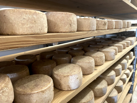 fromage-ferme-bethanoun-tomette-ossau-iraty