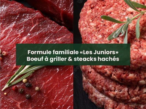 les-juniors-viande-de-boeuf-vente-a-la-ferme-boeuf-vente-directe-ferme-bethanoun-pays-basque-labastide-clairence